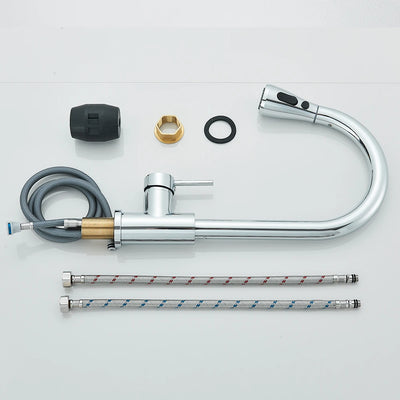 Rozin Chrome Kitchen Faucet with Pull Out Sprayer - Smarsty