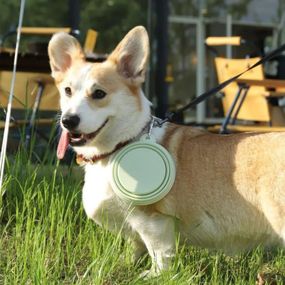Collapsible Silicone Dog Bowls for Travel and Camping - Smarsty
