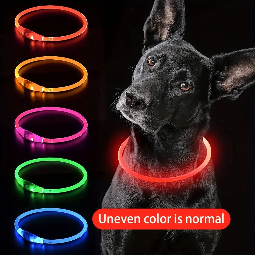 USB Rechargeable LED Dog Collar for Safety - Smarsty