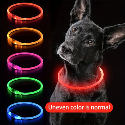 USB Rechargeable LED Dog Collar for Safety - Smarsty