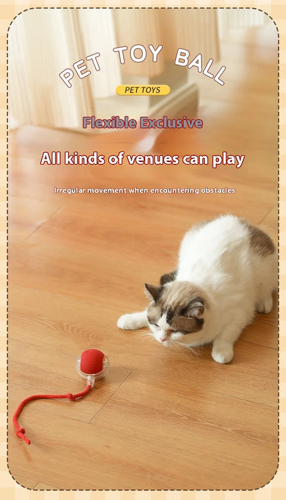 Rechargeable Cat Interactive Ball Toy With Faux Tail - Smarsty