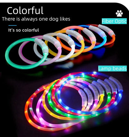 USB Rechargeable LED Dog Collar for Night Safety - Smarsty