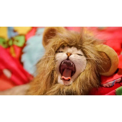 Lion Mane Wig Hat for Dogs and Cats - Smarsty