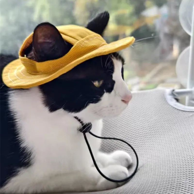 Cute Cat Dog Sun Hat with Ear Hole for Outdoor Fun - Smarsty