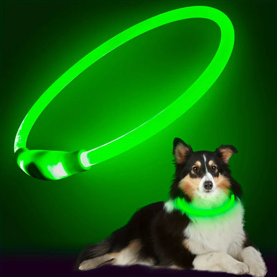 USB Rechargeable LED Dog Collar for Safety - Smarsty