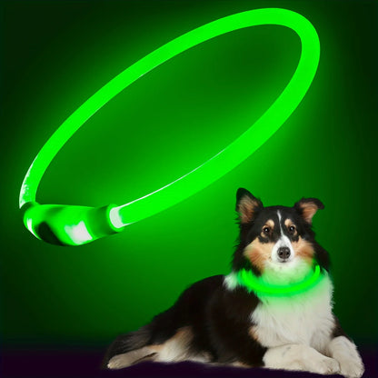 USB Rechargeable LED Dog Collar for Safety - Smarsty