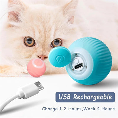 Interactive Smart Dog Toy Ball For Active Play - Smarsty