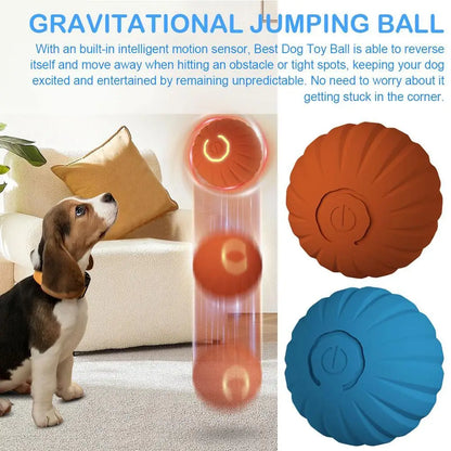 Interactive Dog Chew Toy Ball with Jumping Action - Smarsty