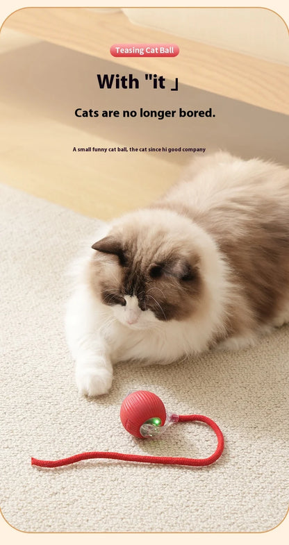 Rechargeable Interactive Cat Toy Smart Rolling Ball - Smarsty
