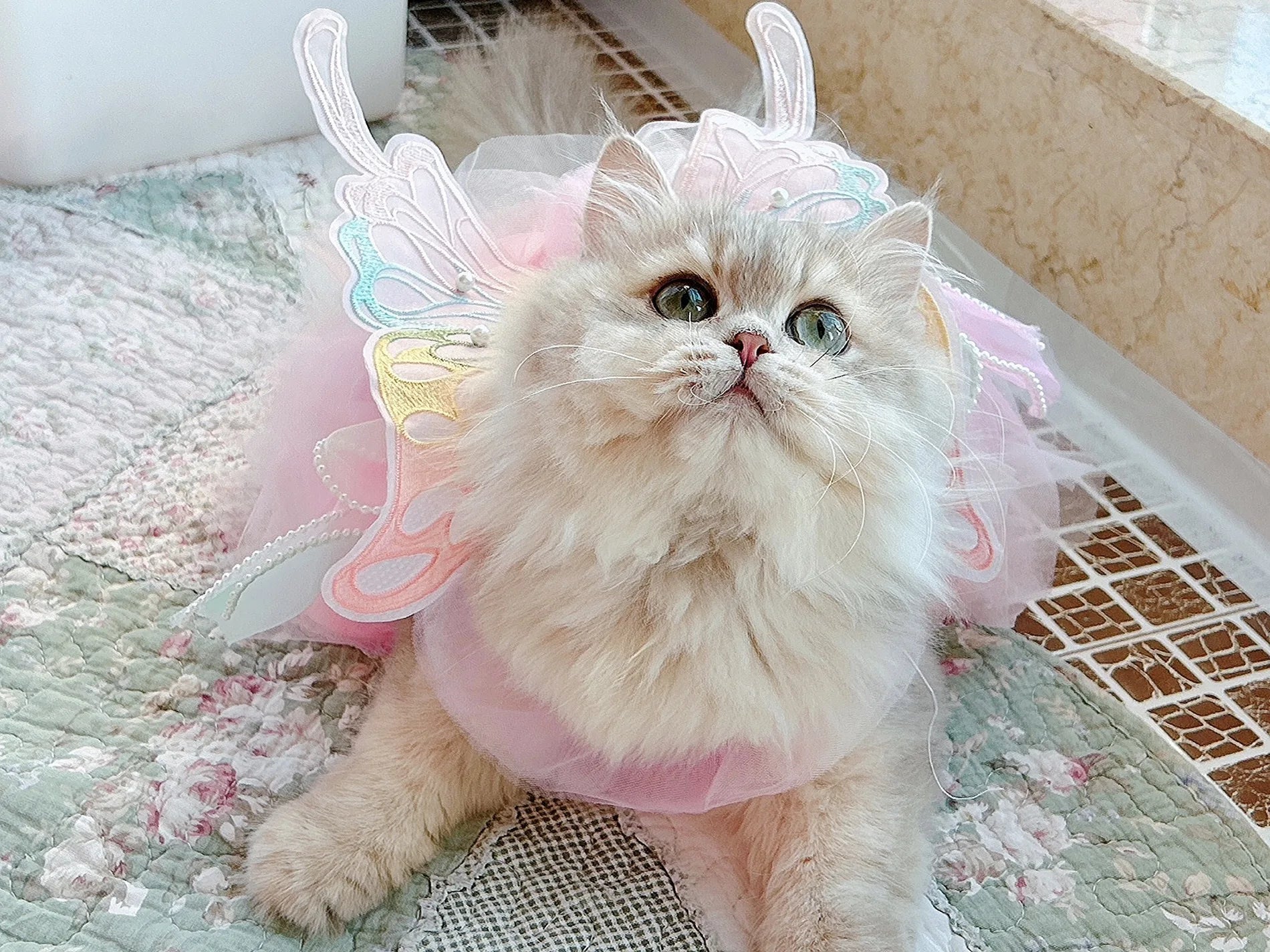 Princess Style Lace Skirt Dog Cat Dress - Smarsty