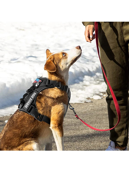 Reflective Service Dog Harness with Adjustable Soft Design - Smarsty