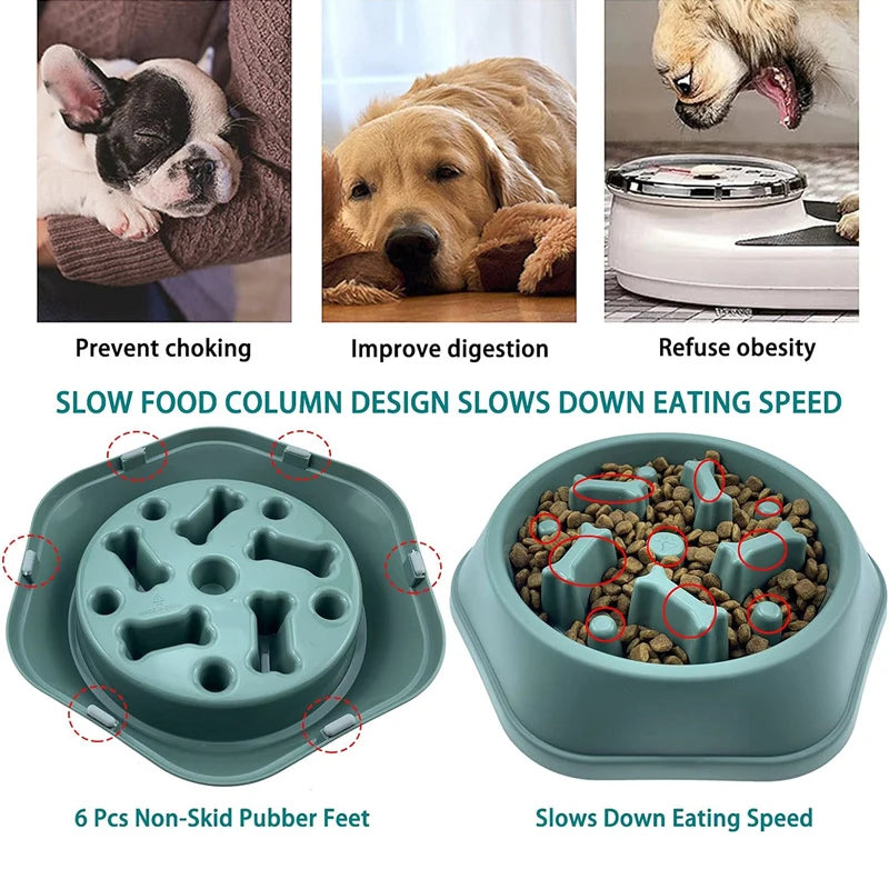 Slow Feeder Dog Bowl for Healthy Eating - Smarsty