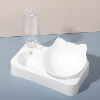 Tilted Pet Bowl for Healthy Eating and Comfort - Smarsty