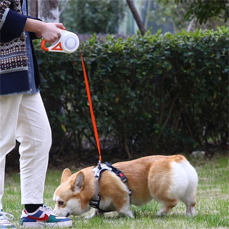 5M Automatic Retractable Dog Leash with LED Flashlight - Smarsty
