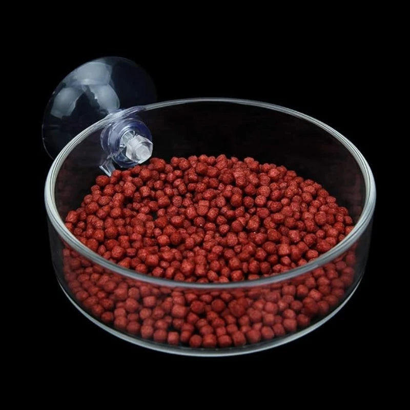 Mini Shrimp Feeding Dish with Suction Cup for Aquariums - Smarsty