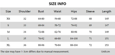 Hugcitar Leopard Print Mesh Long Sleeve Sexy Slim  See Through Maxi Dress Fall Women Fashion Outfits Beach Vacation Club - Smarsty
