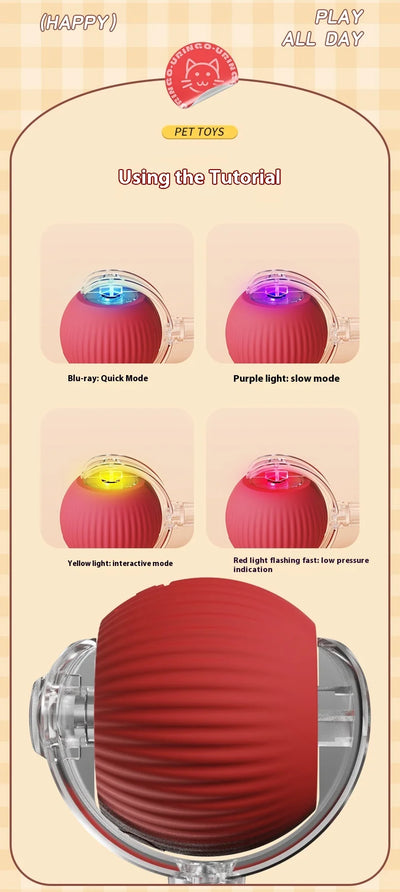 Rechargeable Cat Interactive Ball Toy With Faux Tail - Smarsty