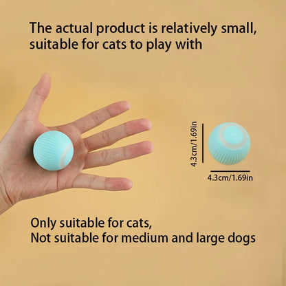 Automatic Interactive Dog Toy Ball for Puppies - Smarsty