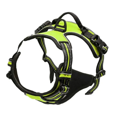 Personalized Leather Dog Harness and Collar Set - Smarsty
