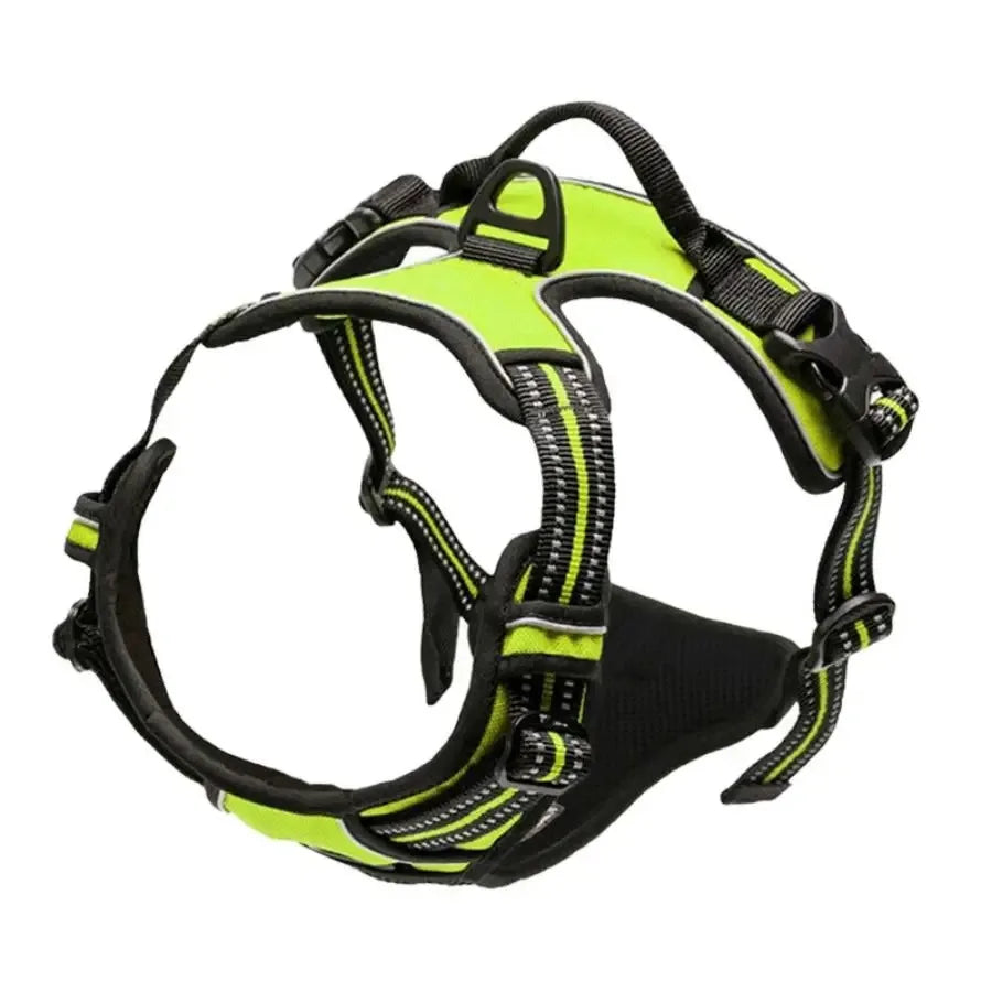 Personalized Leather Dog Harness and Collar Set - Smarsty