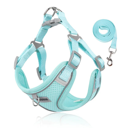 Reflective Dog Harness Leash Set for Outdoor Safety - Smarsty