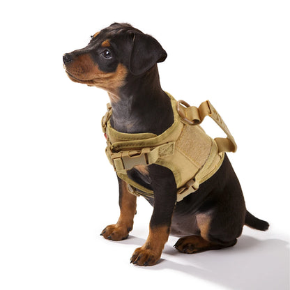 Adjustable Tactical Puppy Harness and Leash for Training - Smarsty