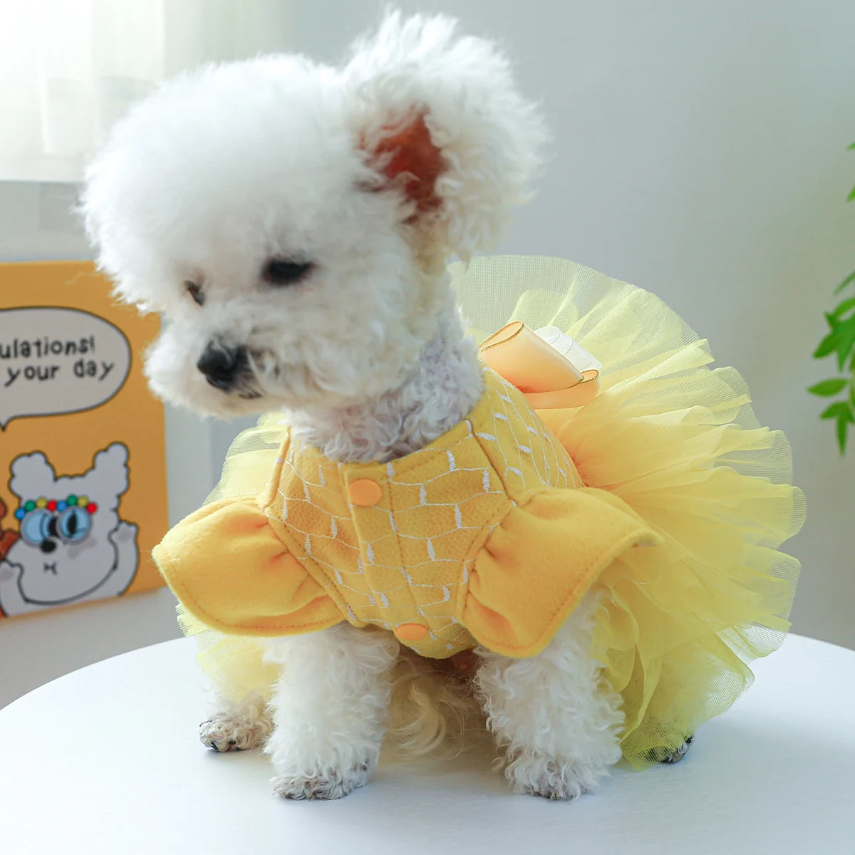Yellow Flying Sleeve Dog Princess Dress for Autumn Winter - Smarsty