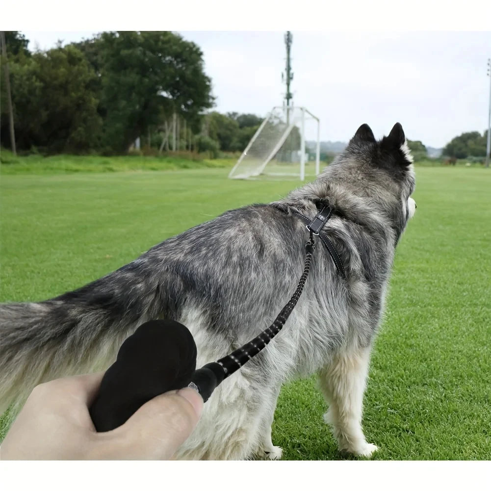 Reflective Dog Leash With Padded Handle For Safety - Smarsty