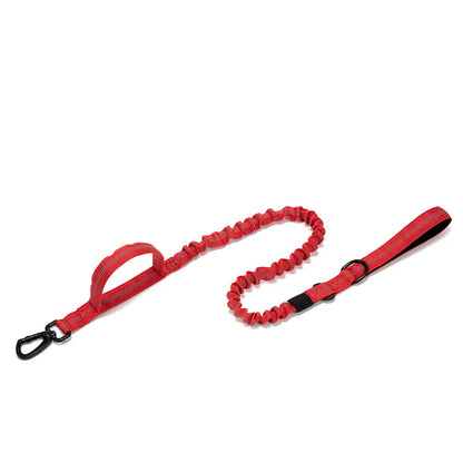 Durable Reflective Nylon Dog Collar and Leash Set - Smarsty