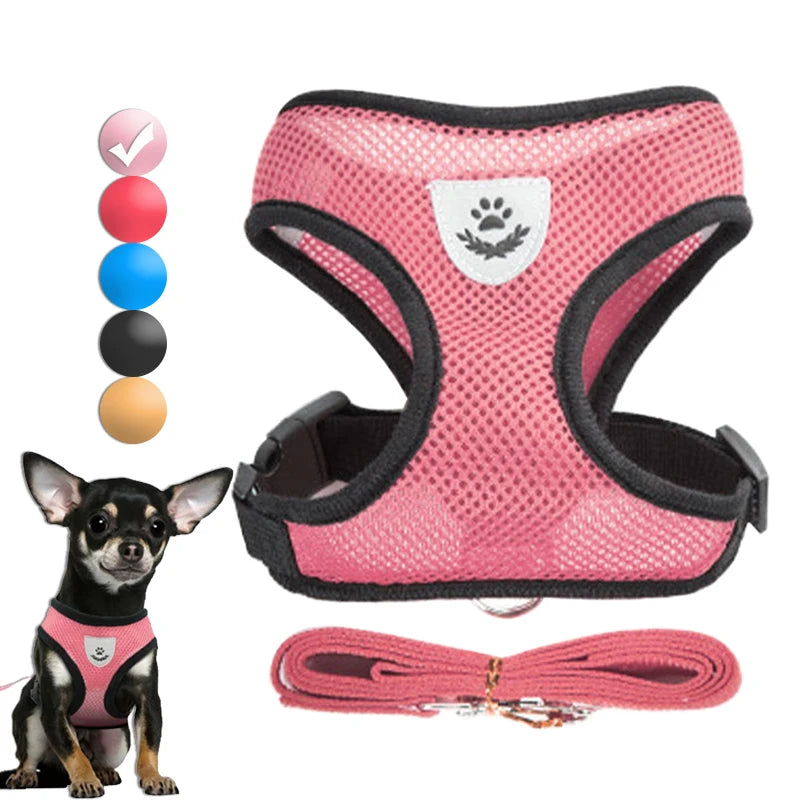 Adjustable Dog Harness and Leash Set for Small Dogs - Smarsty