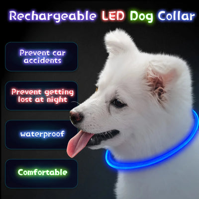 USB Rechargeable LED Dog Collar for Safety - Smarsty