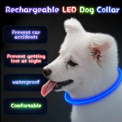 USB Rechargeable LED Dog Collar for Safety - Smarsty