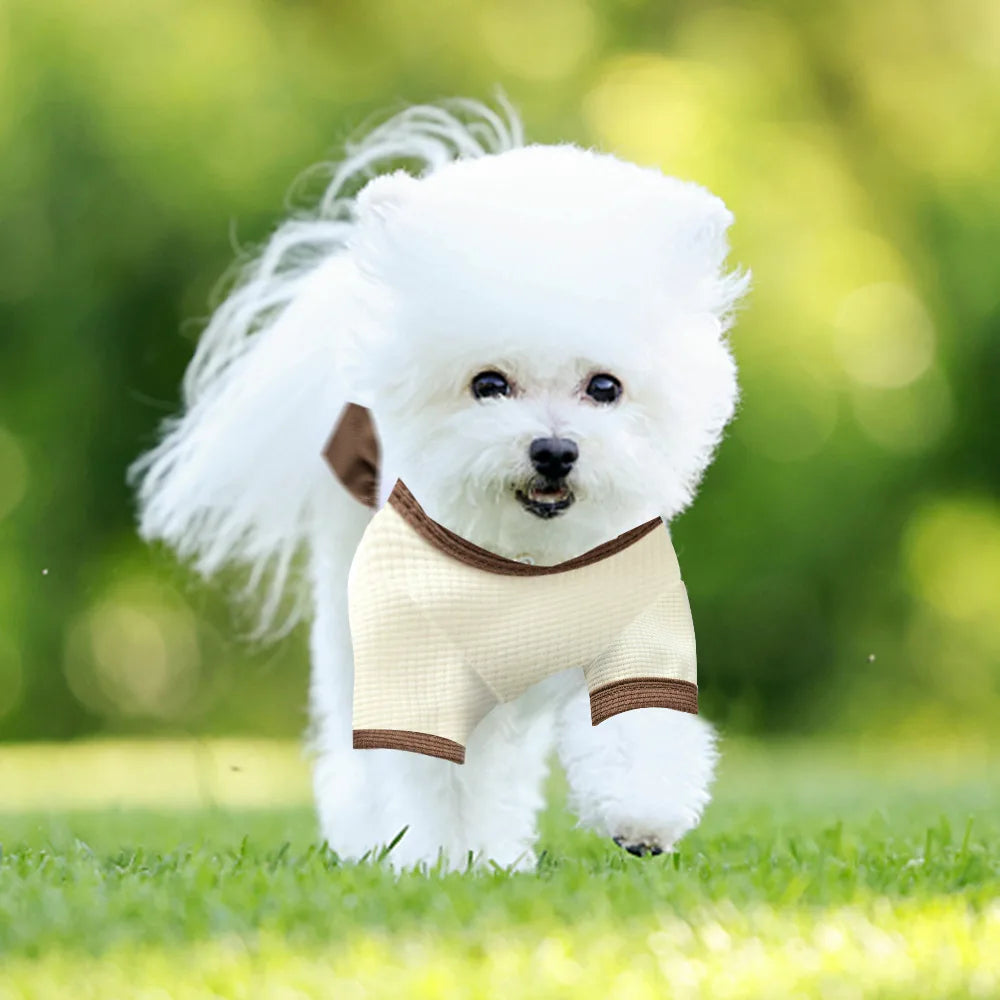 Floral Princess Dress for Small Dogs Summer Wear - Smarsty