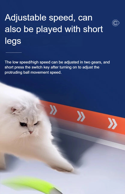 Interactive Rolling Cat Toy with Faux Tail - Smarsty