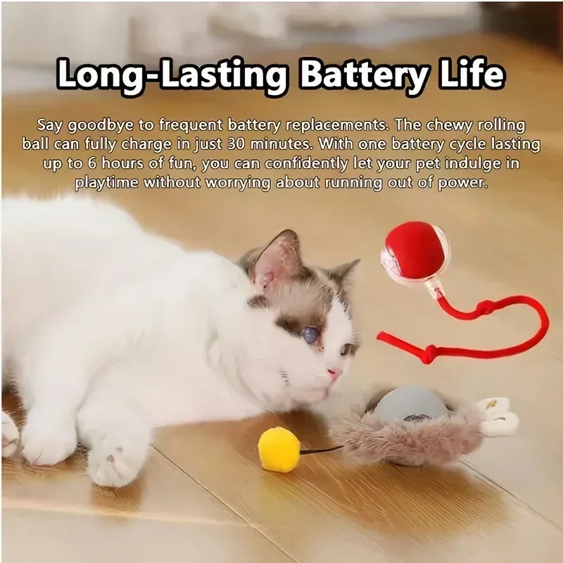 Automatic Rolling Cat Ball Toy with Rechargeable Faux Tail - Smarsty