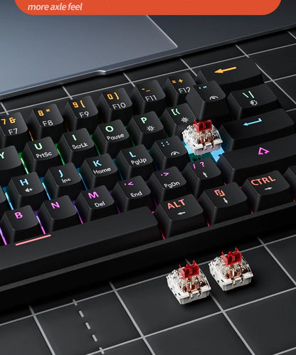 Compact 61Key Esports Mechanical Keyboard Hot Swappable RGB