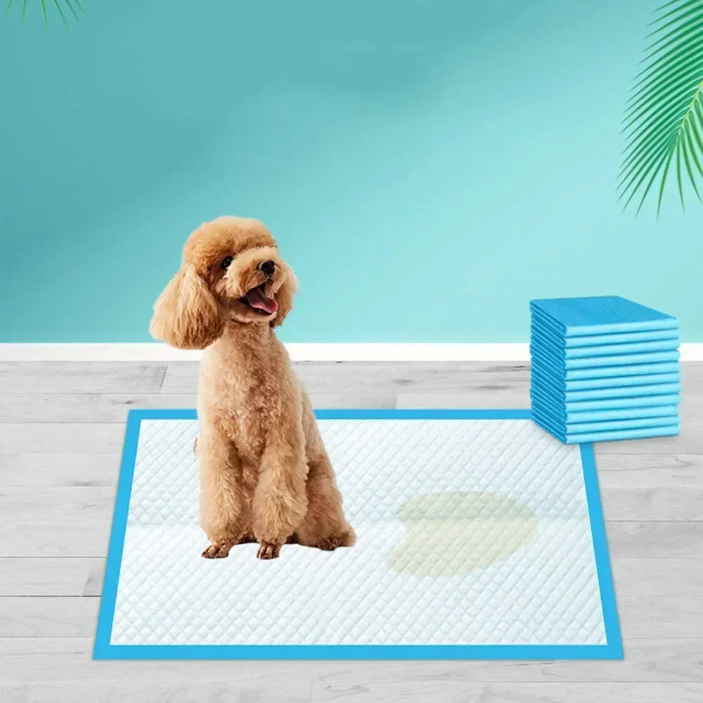 Ultra Absorbent Pet Diaper Pads with Odor Control - Smarsty