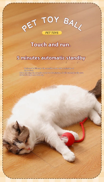 Rechargeable Cat Interactive Ball Toy With Faux Tail - Smarsty
