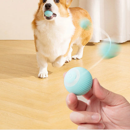 Interactive Rechargeable Cat Ball Toy for Engaging Play - Smarsty