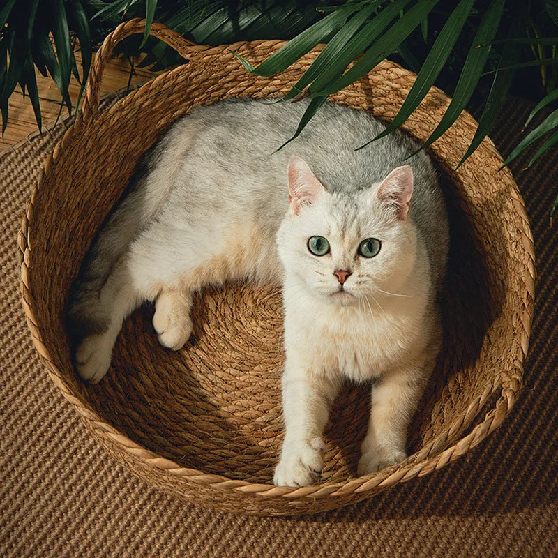 Rattan Weaving Cat Bed for Comfortable Summer Sleep - Smarsty