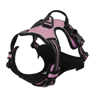 Personalized Leather Dog Harness and Collar Set - Smarsty