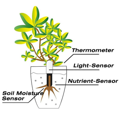 Smart Soil Water Tester for Healthy Plants - Smarsty