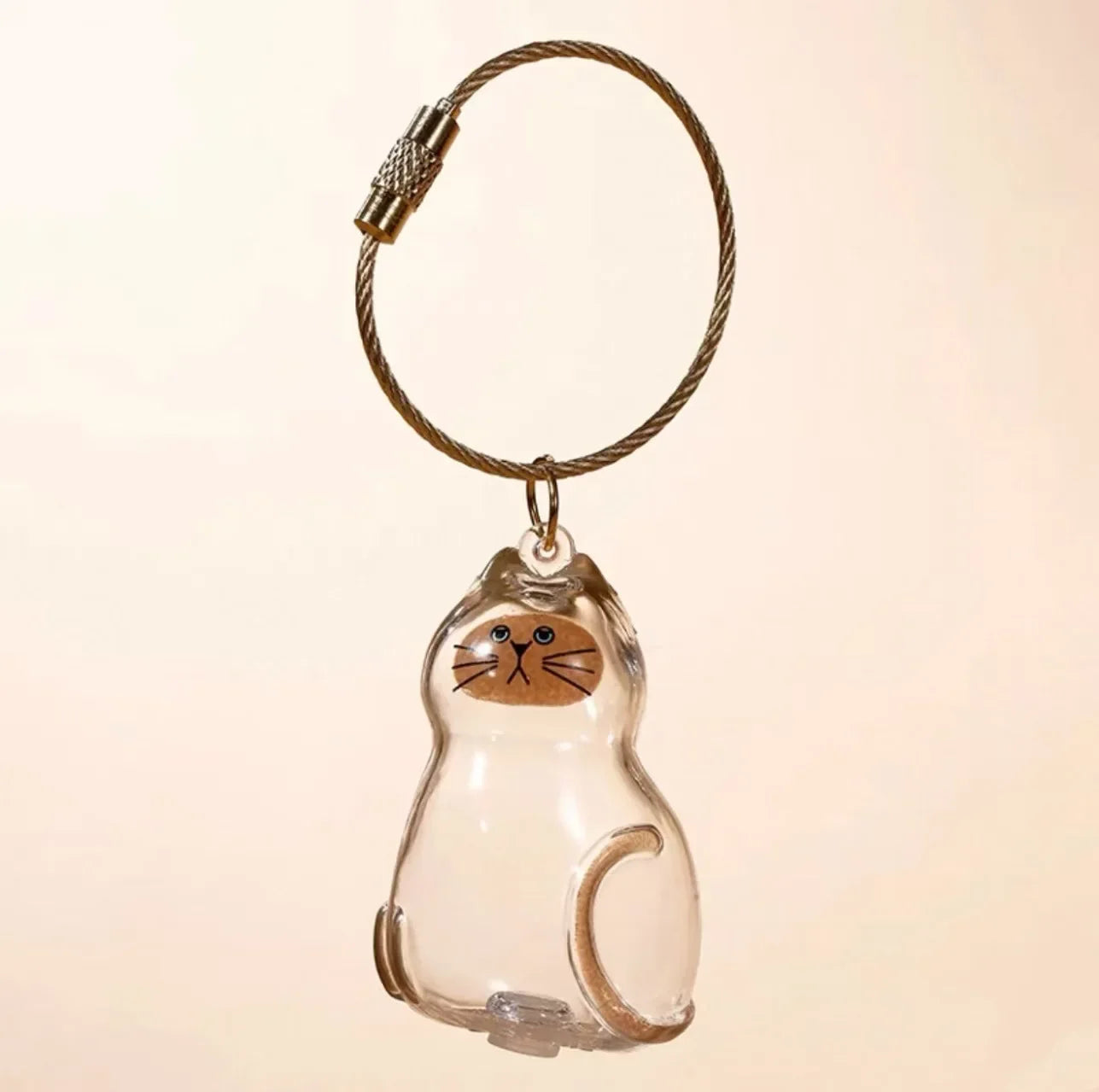 Transparent Cat Hair Storage Box for Pet Lovers - Smarsty