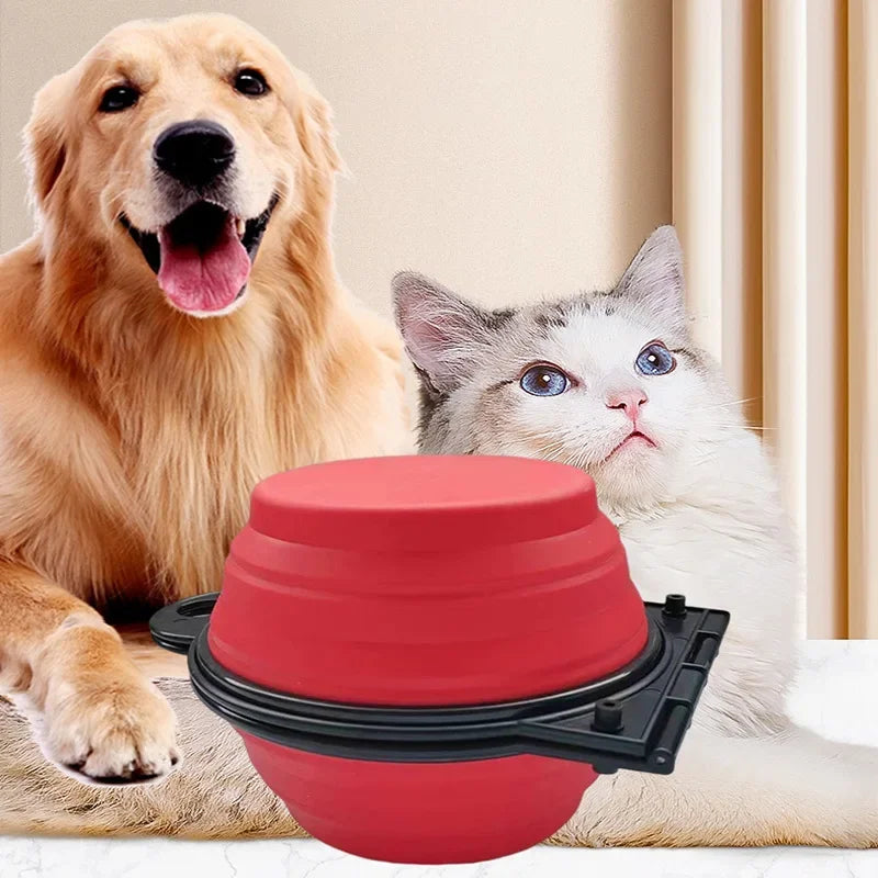 Foldable 2-in-1 Travel Bowl for Dogs and Cats - Smarsty