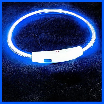 USB Rechargeable LED Dog Collar for Night Safety - Smarsty