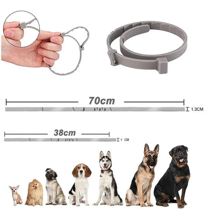 Adjustable VIP Dog Collar for Small Dogs and Cats - Smarsty