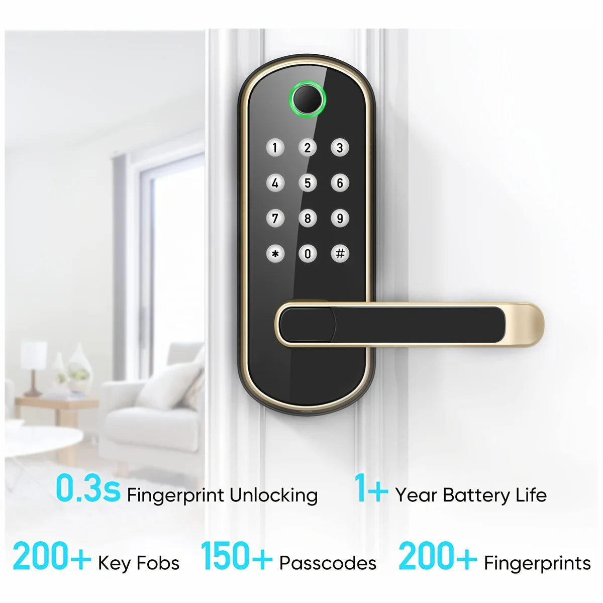 Smart Fingerprint Door Lock with WiFi Remote Access - Smarsty