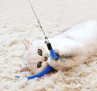 11pcs Replacement Cat Feather Toy Set Feather Replacement Head Retractable Cat Stick Cat Products - Smarsty