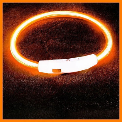 USB Rechargeable LED Dog Collar for Night Safety - Smarsty