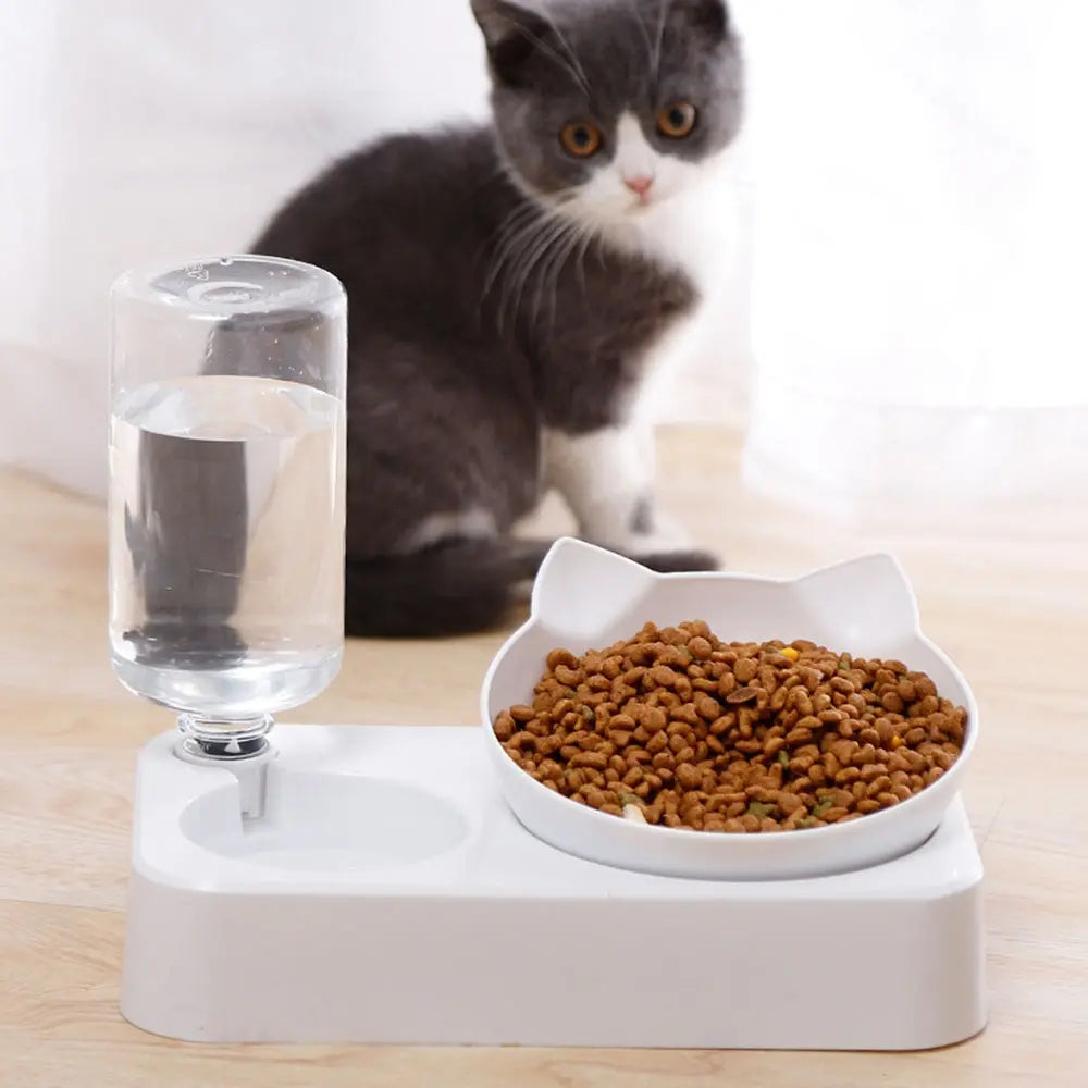 Tilted Pet Bowl for Healthy Eating and Comfort - Smarsty